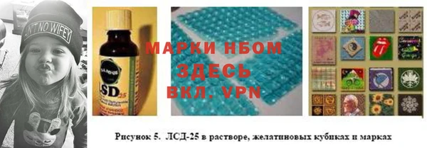 спиды Няндома