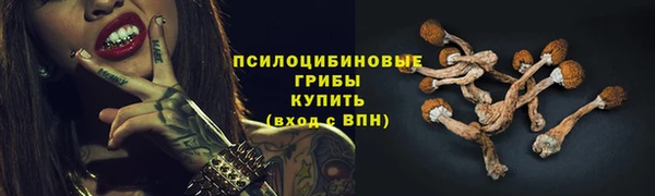 спиды Няндома