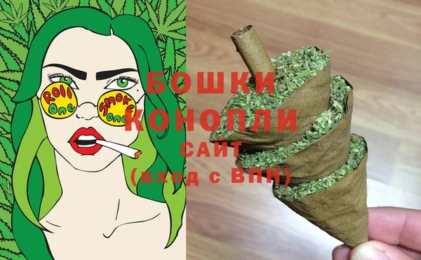 спиды Няндома