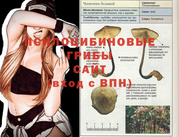 экстази Новодвинск