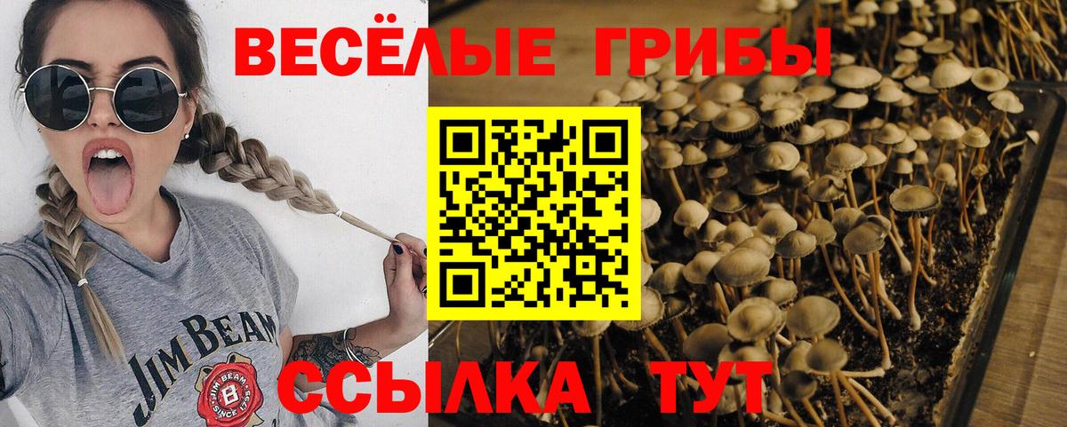 Галлюциногенные грибы MAGIC MUSHROOMS Ртищево